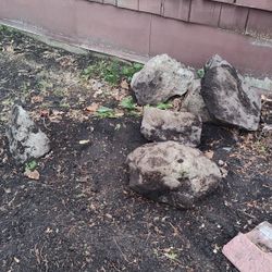 Free Rocks