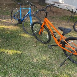 2 Bikes 