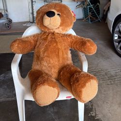 F13-20” Embroidery Eye Teddy Bear