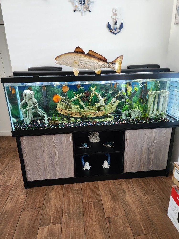 Aquarium 125 Gallons