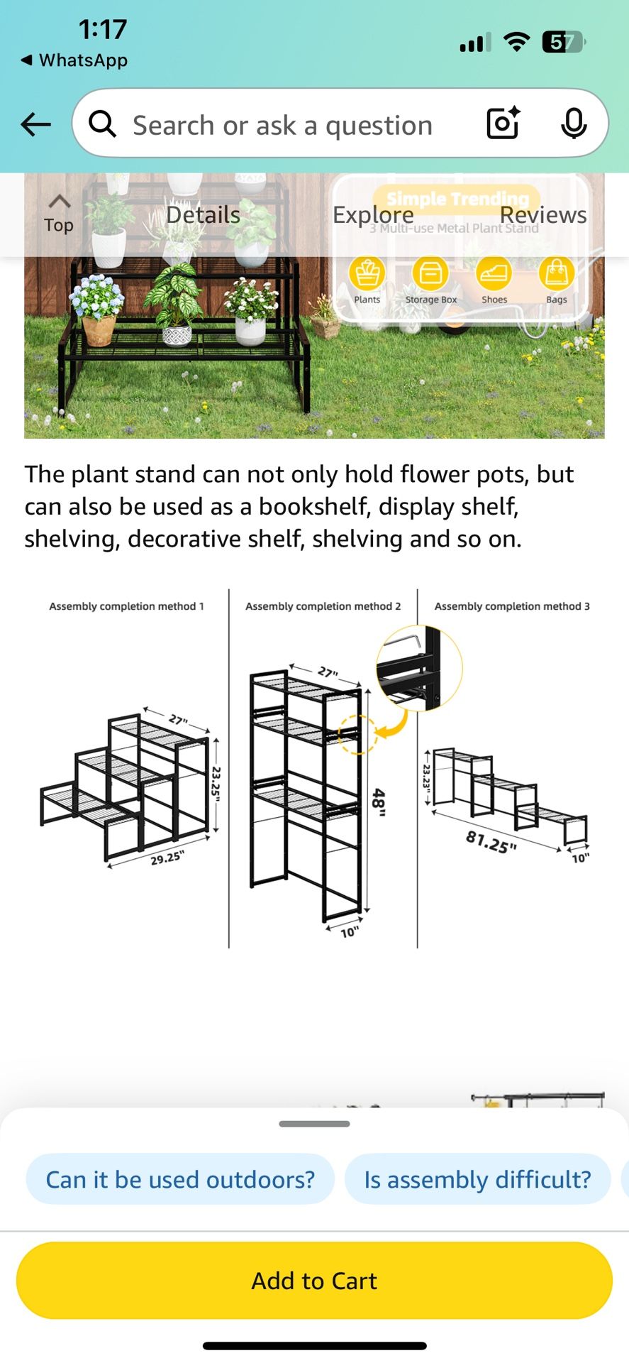 Metal Plant Holder 
