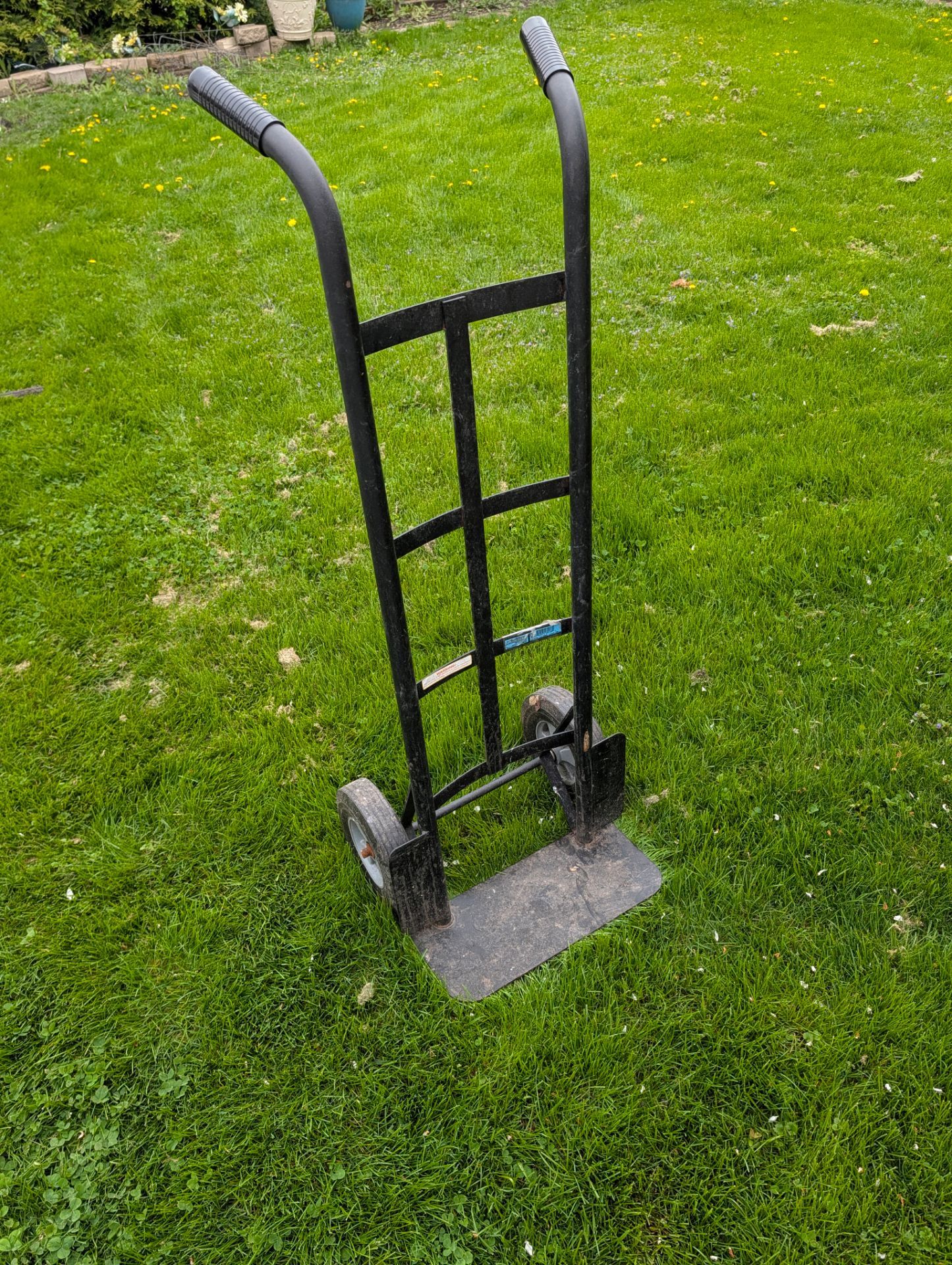 Dolly 4.5 ft