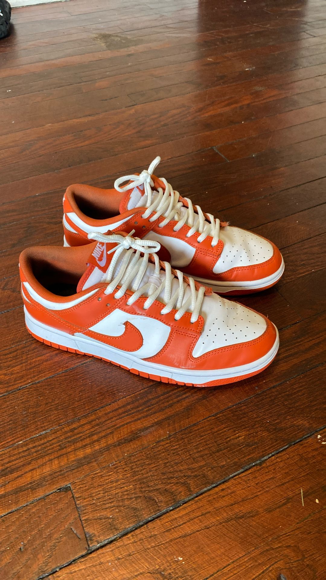 Nike Air Dunks