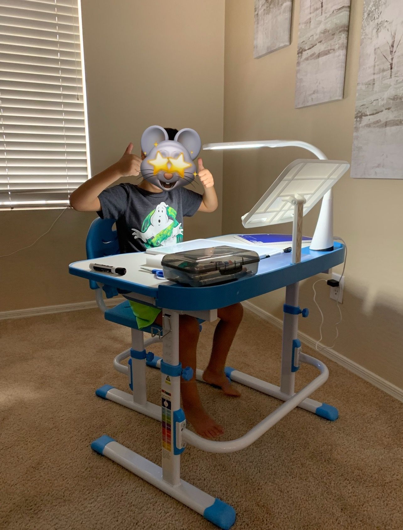 Grow With Me Kids Desk