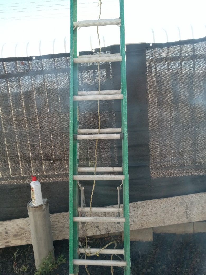 16 Ft Ladder Ext