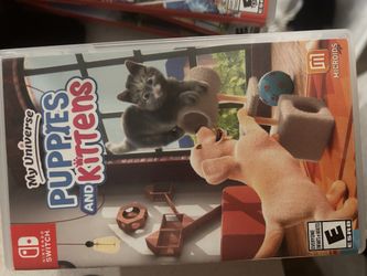 P&K Nintendo Game