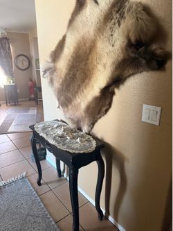 Wolf skin