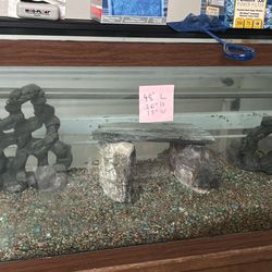 Fish Tank Large And Functional With New Filter And All The Fixings 