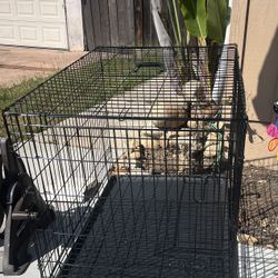 Large Dog Crate
