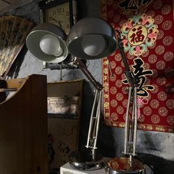 Free Pair of desk lamps