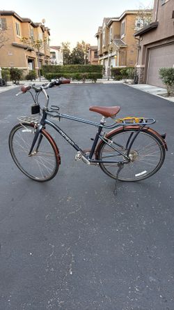 Momentum bike
