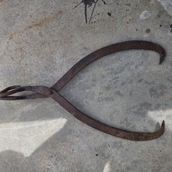 Extra Large Ice Thongs