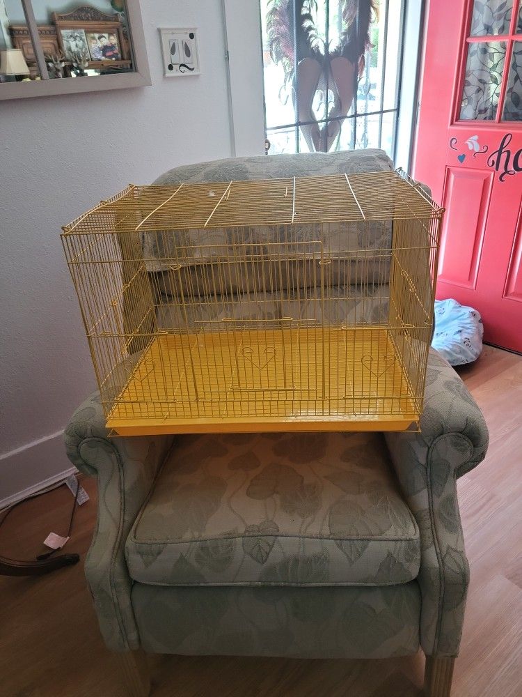 Bird Cage