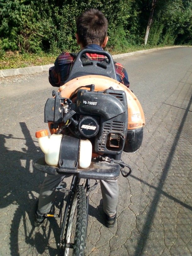 Echo Leaf Blower