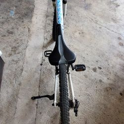 LIV ENDHANT MOUNTIN BIKE ALMOST NEW.