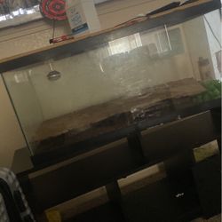 Glass Aquarium 