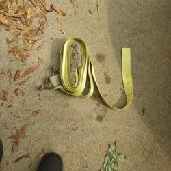 Commercial Shipping Straps