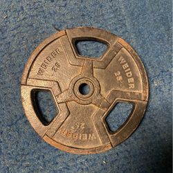 25 Lbs Weider Weight
