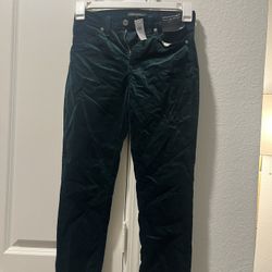 Banana Republic Velvet Pants