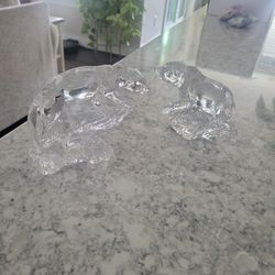 Princess House Wonders Of The Wild