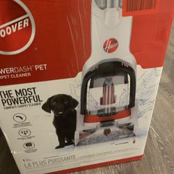 Carpet Cleaner