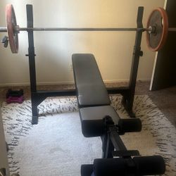 Weider Weight Bench With Weights +bar 