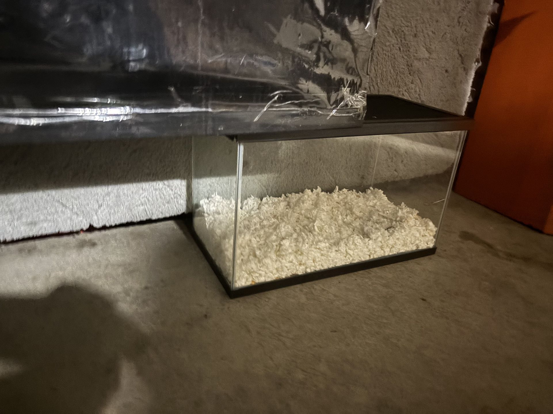 Glass Tank