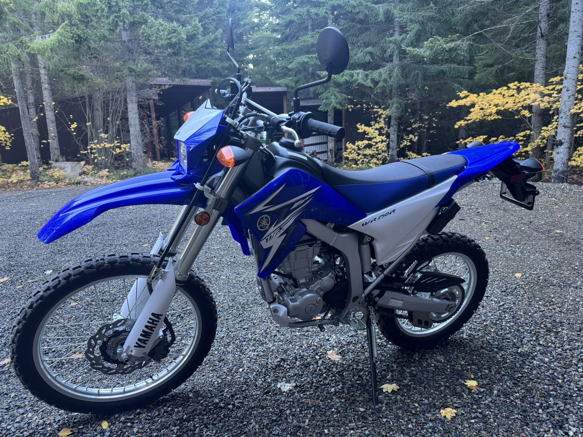 2009 Yamaha WR250R