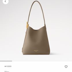 Louis Vuitton Low Key MM Hobo bag w receipt BNIB
