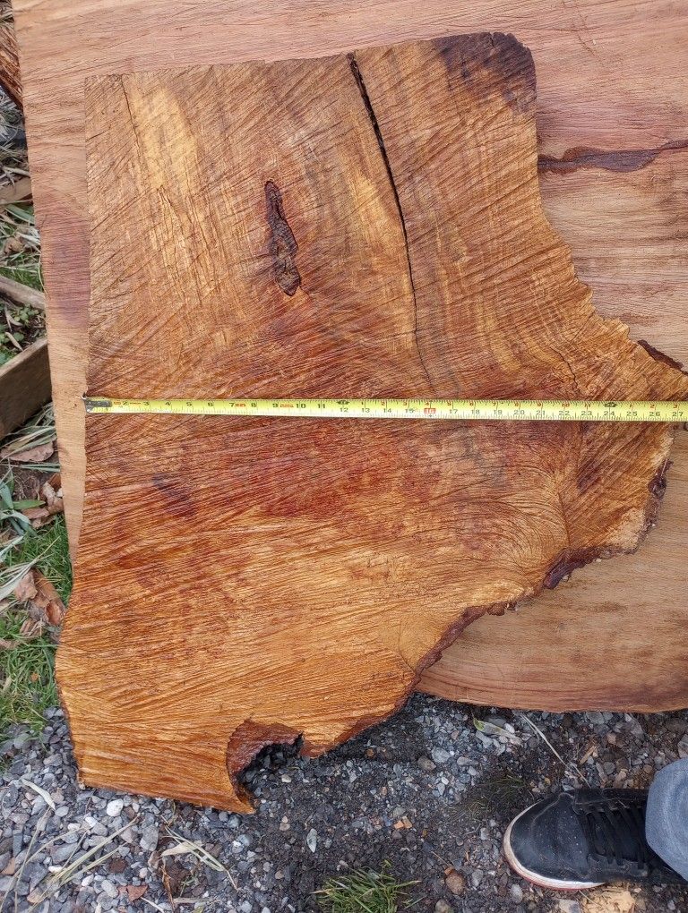 Birdseye Maple Burl Slab Dry 5 Years