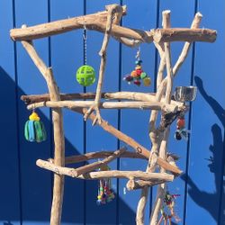 Large Parrot / Macaw Perch Tree - Big Thick And Wanted By Mr Feathers …. Birdee Love ❤️