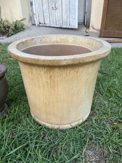 13x15x15 in Beige Pot