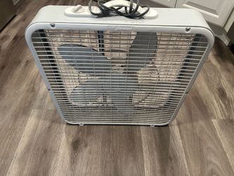 Lakewood 20” White Box Fan