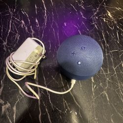 Alexa Speaker 