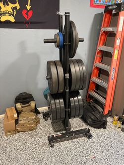 Portable Weight & Barbell Storage Tree plus Bumpers Plates