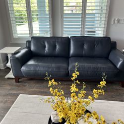 Sofa And Loveseat From Havertys