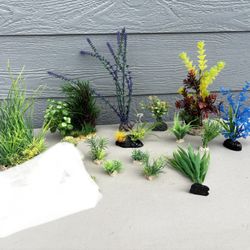 Aquarium Plants