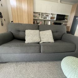 Living Spaces Sleeper Sofa | Gently Used 