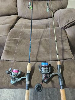 Penn Clash fenwick hmg St Croix triumph spinning rod light re tip ultralight combo freshwater saltwater inshore