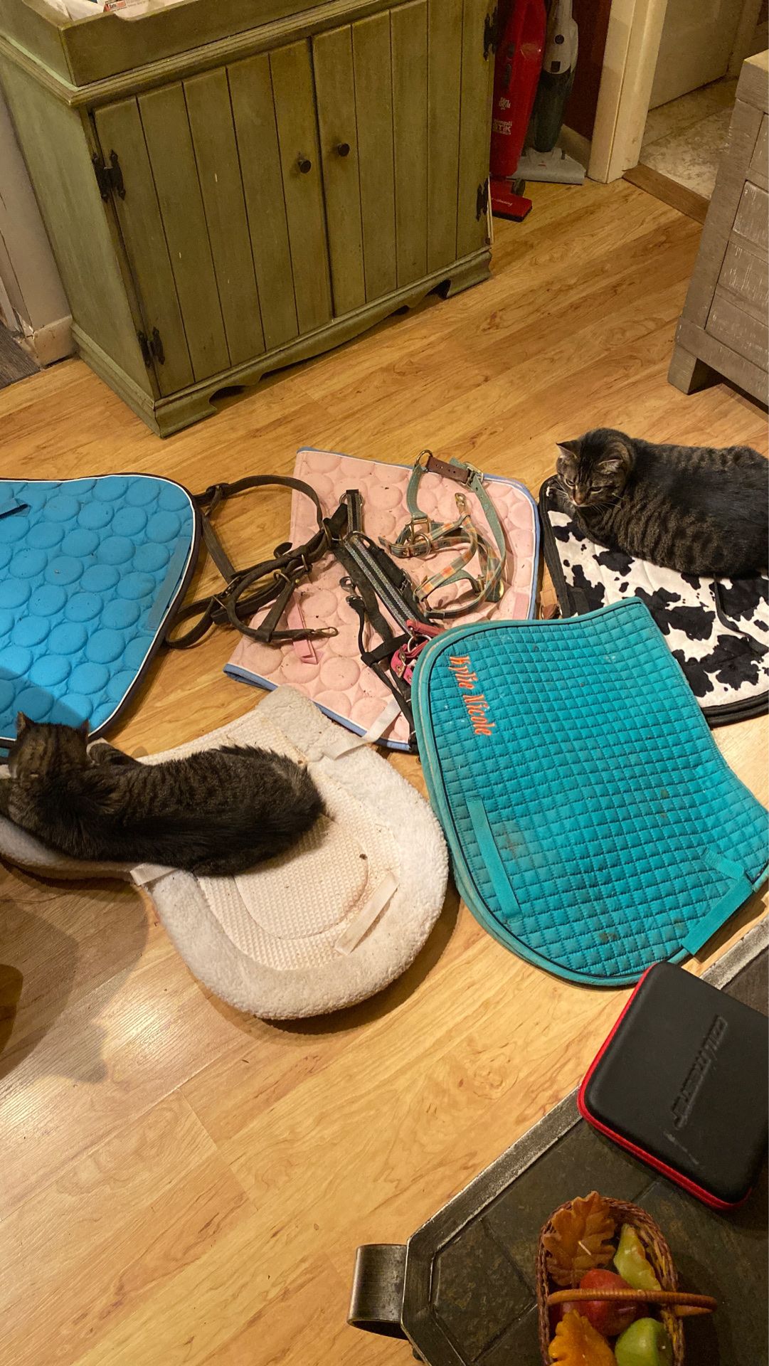 Used full size horse saddle pads & bridles for sale