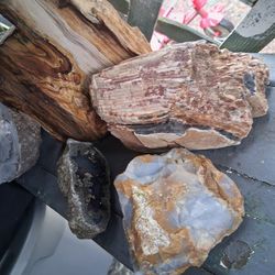 Assorted rocks and petrified wood