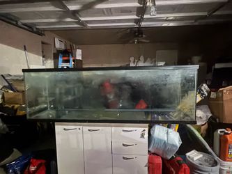 Fish tank