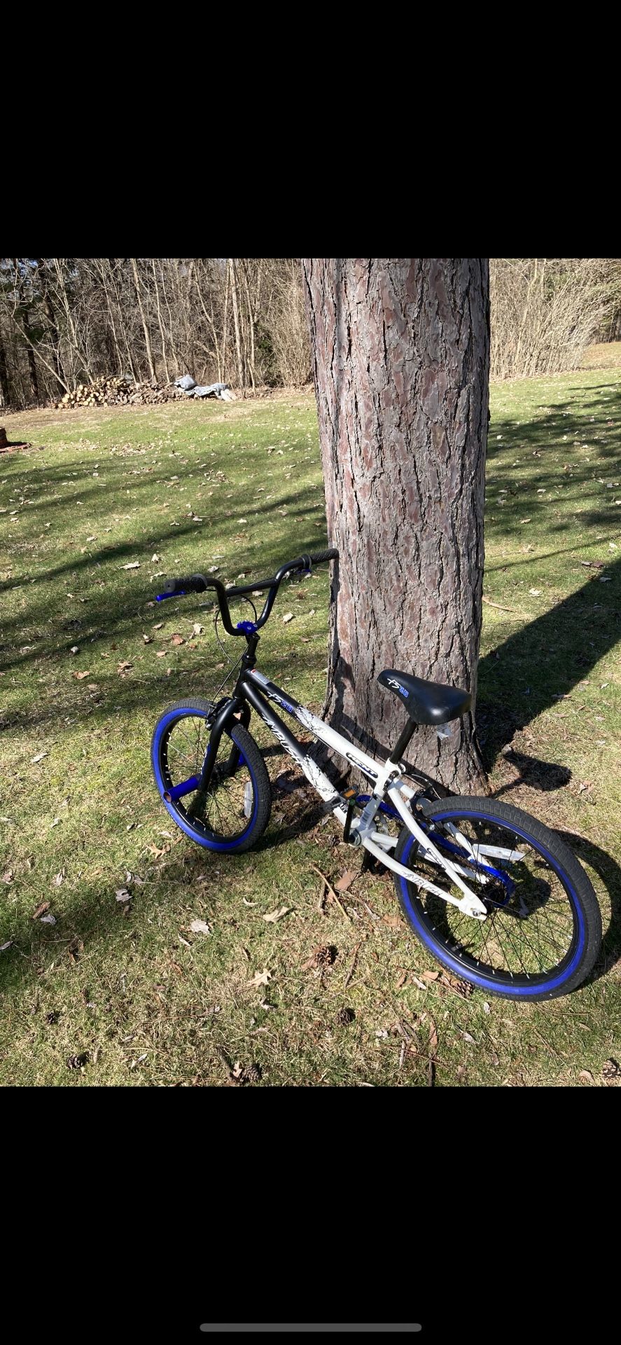 20” Bmx Style Bike