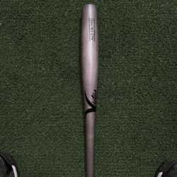 Baseball Victus Wooden Bat Torpedo 33 Inch Brand New 