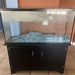 75 Gal Aquarium + Accessories 