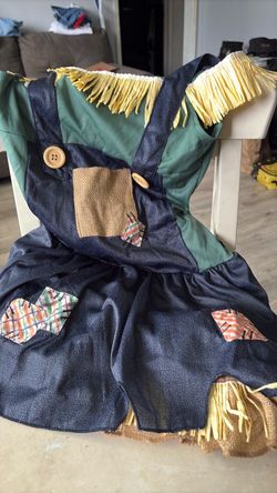 Scarecrow dress size 14-16 costume