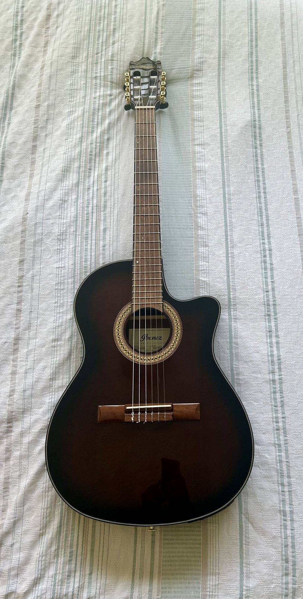 Ibanez Nylon Electric-acoustic Guitar Ga35tce