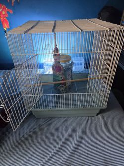 Bird cage with toy and parrot food