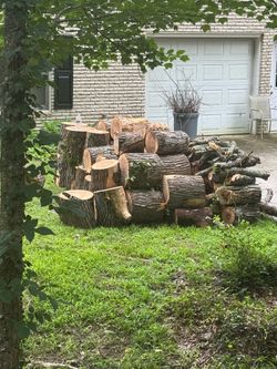 Free fire wood