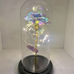 Dose Of Roses Galaxy Light Rose
